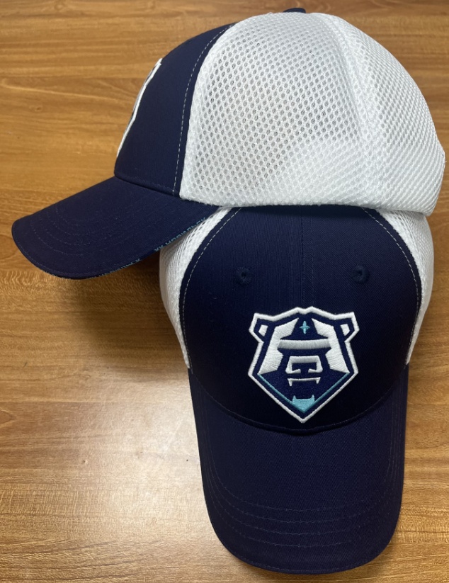 Cap HC Norilsk white setka 24.06.17