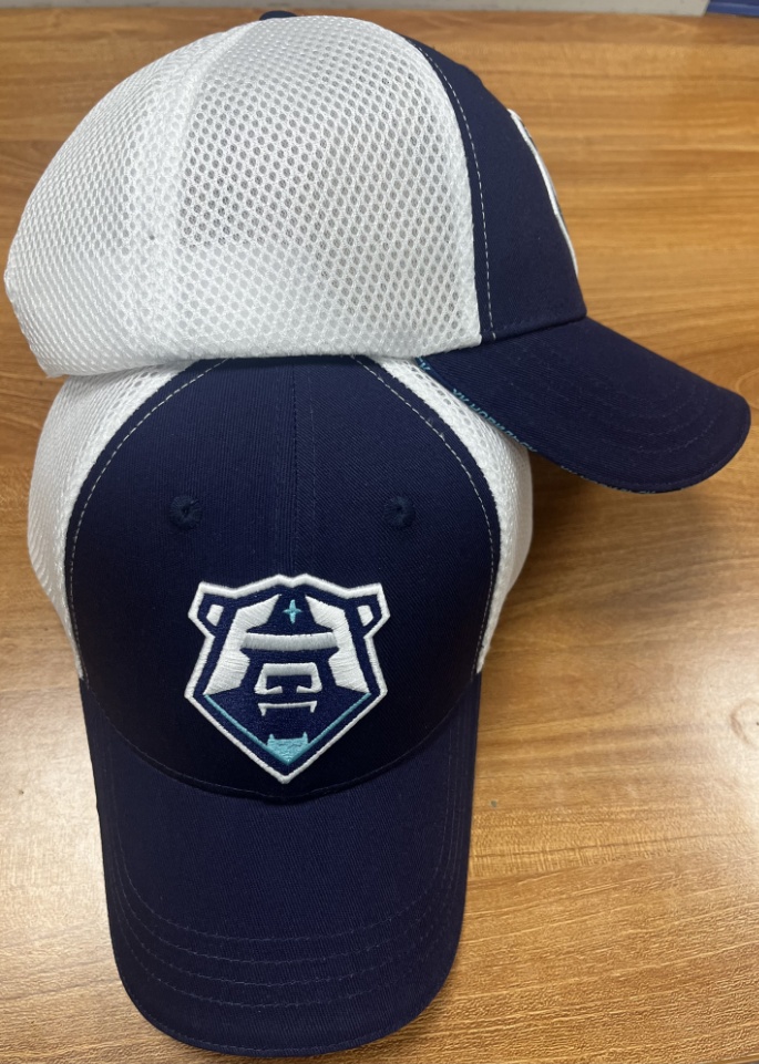 Cap HC Norilsk white setka 24.06.17