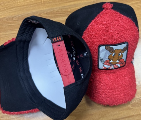 Cap HC Avtomobilist red plush 25.04.22