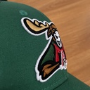 Cap VC Lokomotiv NSK black green