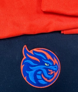 Cap HC Shanghai Dragons bedge 25.10.08