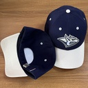 Cap HC Metallurg MG 3