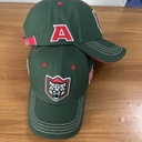 Cap HC Ak Bars dark green bukva