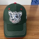 Cap HC Ak Bars dark green kid