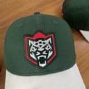Cap HC Ak Bars dark green+white