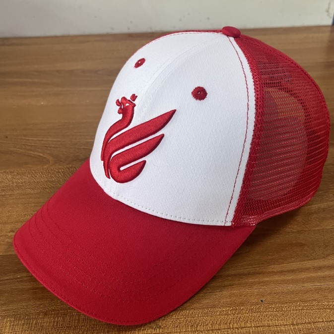 Cap FC Rubin zilant teenager