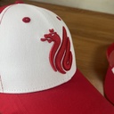 Cap FC Rubin zilant teenager