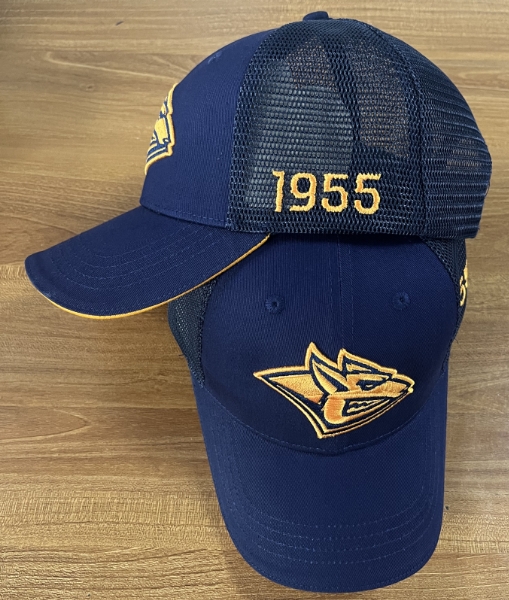 cap hk metallyrg blue 1