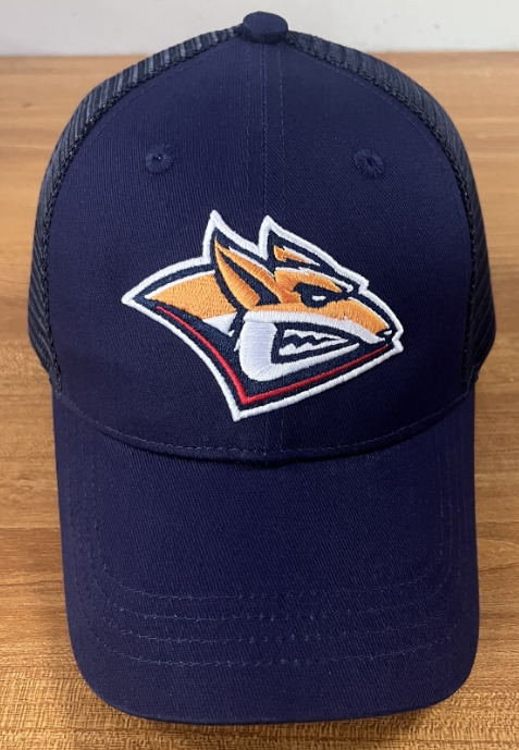 cap hk metallyrg blue 2