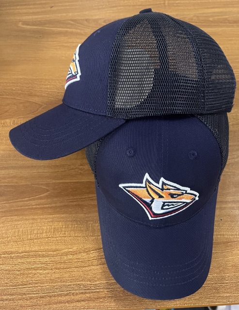 cap hk metallyrg blue 2