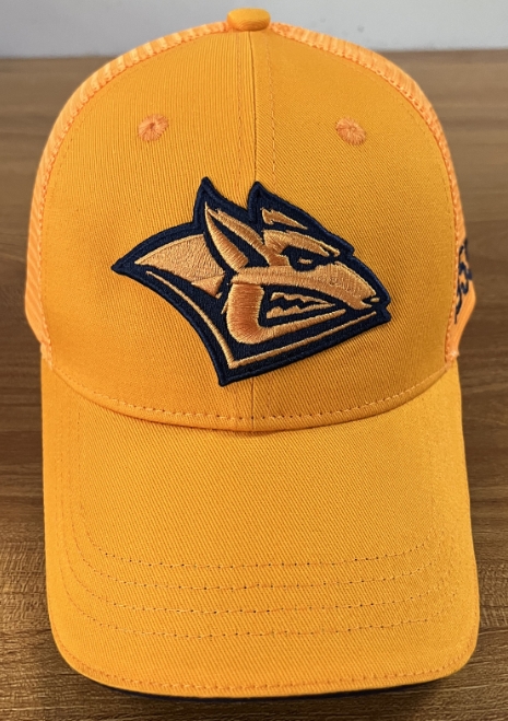 cap hk metallyrg orange2