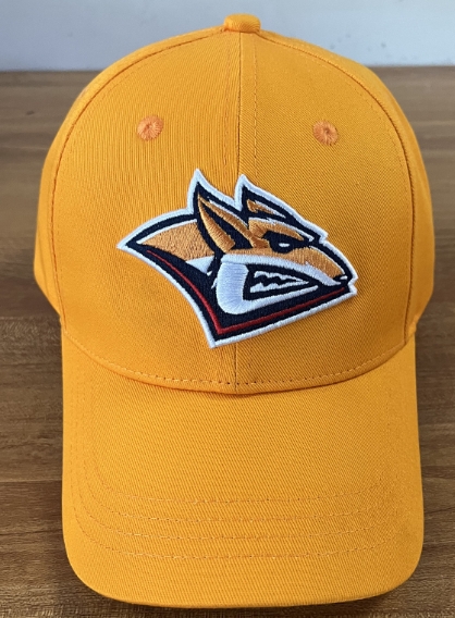 cap hk metallyrg orange