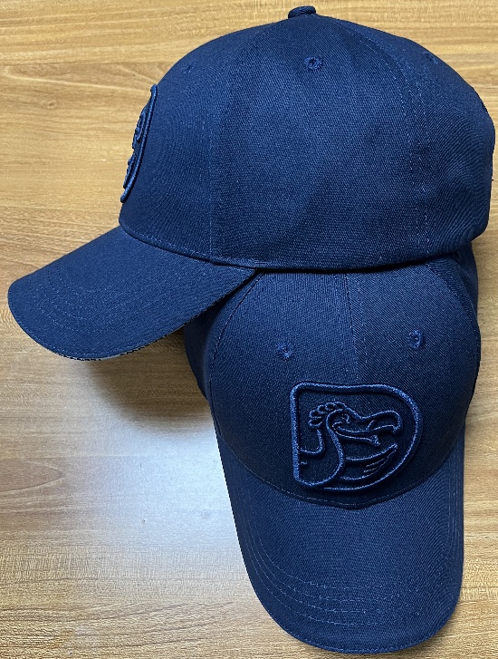 Dodo pizza cap blue 23.11.16