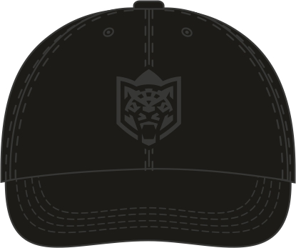 Cap HC Ak Bars black velvet 23.11.22
