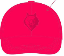 HC Neftekhimik cap pink 2024.05