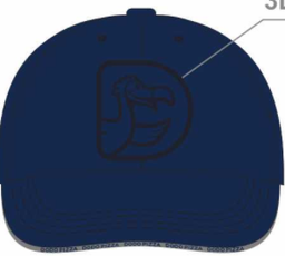 Dodo pizza cap blue 23.11.16