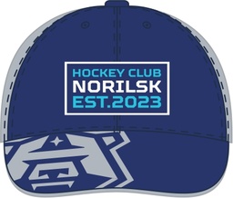 Cap HC Norilsk grey+dark blue mini 24.06.17