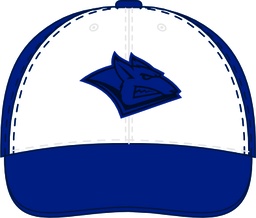 Cap HC Metallurg MG 2 2025.06