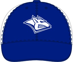 Cap HC Metallurg MG 3 2025.06