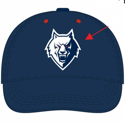 Cap HC Neftekhimik 22A