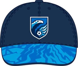 Cap FC Sibir dark blue 26.01.22