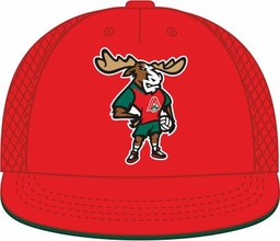 Snapback VC Lokomotiv red setka 26.06.17